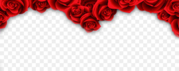 Beach rose Garden roses Red Flower - Rose Border Beach rose Garden roses Red Flower - Rose Border