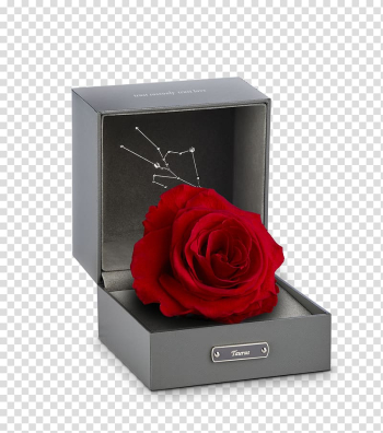 Beach rose Gift Aries Valentines Day Box, Rose gift transparent background PNG clipart