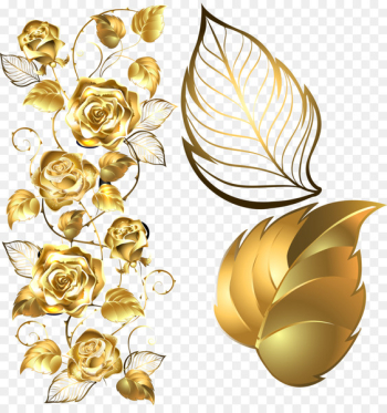 Beach rose Golden Rose Flower - Golden rose decorative elements 