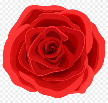Beach Rose Graphic Design Flower - Red Rose Graphic Beach Rose Graphic Design Flower - Red Rose Graphic