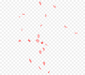 Beach rose Petal Pink - Rose petal Beach rose Petal Pink - Rose petal