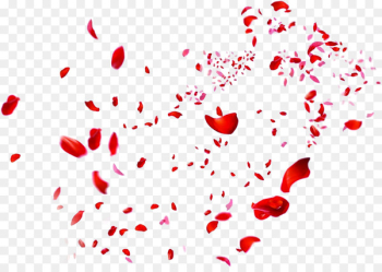 Beach rose Petal Red Heart - Scattered red rose petals Beach rose Petal Red Heart - Scattered red rose petals