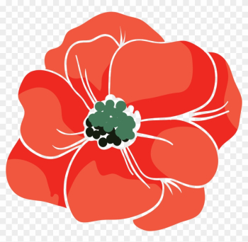 Beach Rose Red Poppy Euclidean Vector - Rose