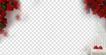 Beach rose, Rose background transparent background PNG clipart