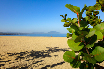 Beach, Sea, By The Sea, Beach Sea, Holiday, Summer