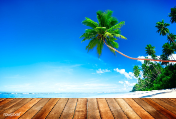 Beach sea tropical | Free stock photo - 67429 Beach sea tropical | Free stock photo - 67429