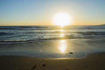 Beach Sun Reflections Beach Sun Reflections