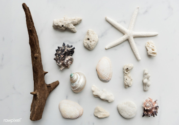 Beach theme decorations | Free stock photo - 67625 Beach theme decorations | Free stock photo - 67625