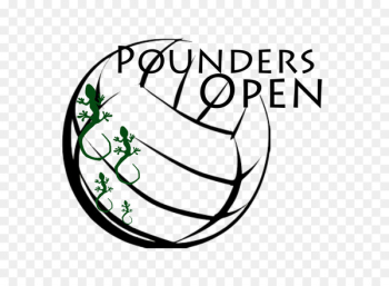 Beach volleyball Sport Sitting volleyball Volleyball net - volleyball 