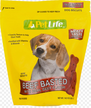 Beagle Pet Puppy Costume Clip art - puppy 