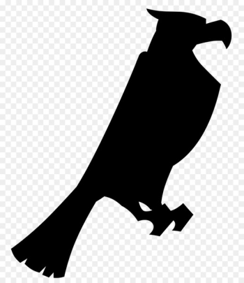 Beak, Bird, Finches PNG Beak, Bird, Finches PNG