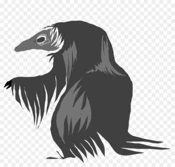 Beak Bird of prey Illustration Carnivores - bird Beak Bird of prey Illustration Carnivores - bird