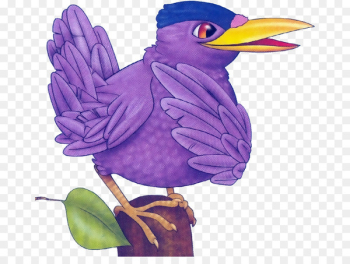 Beak Cartoon Feather Flowering plant - feather Beak Cartoon Feather Flowering plant - feather