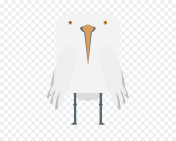 Beak Ducks, Geese and Swans Bird Goose Cygnini - bird Beak Ducks, Geese and Swans Bird Goose Cygnini - bird
