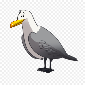 Beak Goose Cygnini Bird Grey Geese - goose Beak Goose Cygnini Bird Grey Geese - goose
