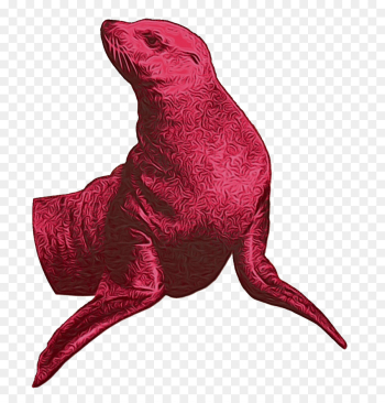 Beak, Marine Mammal, Mammal, Pink, Magenta PNG Beak, Marine Mammal, Mammal, Pink, Magenta PNG