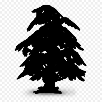 Beak Pine family Silhouette - Beak Pine family Silhouette -