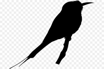 Beak Silhouette Font - Beak Silhouette Font -