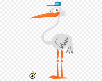 Beak Swans Goose Duck Water bird - goose Beak Swans Goose Duck Water bird - goose