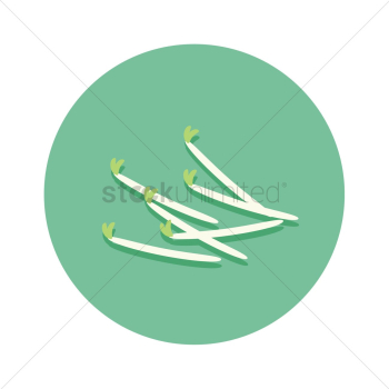 Bean sprouts Bean sprouts