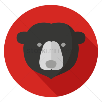Bear Bear