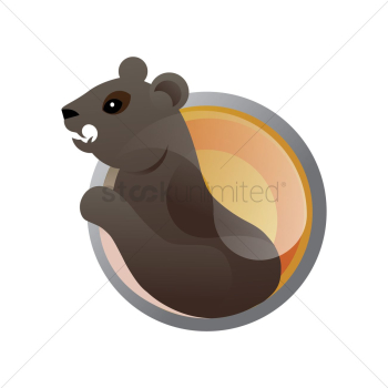 Bear Bear