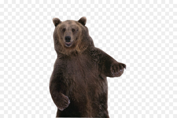 Bear, Brown Bear, Dance PNG Bear, Brown Bear, Dance PNG