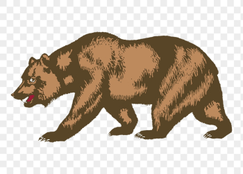 Bear png sticker, wildlife illustration | Free PNG - rawpixel Bear png sticker, wildlife illustration | Free PNG - rawpixel