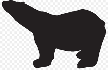 Bear, Polar Bear, Brown Bear, Animal Figure PNG Bear, Polar Bear, Brown Bear, Animal Figure PNG