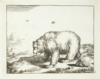 Bear standing, facing left by Marcus | Free Photo - rawpixel Bear standing, facing left by Marcus | Free Photo - rawpixel