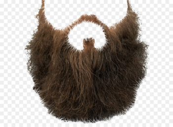 Beard Clip art - Beard PNG image Beard Clip art - Beard PNG image