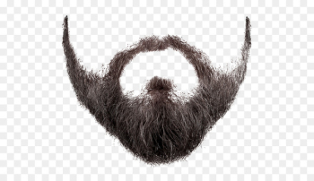 Beard Photography Clip art - beard and moustache Beard Photography Clip art - beard and moustache