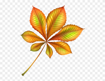 Beautiful Autumn Orange Leaf Png Clipart Image - Beautiful Leaf Png