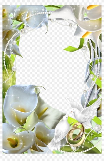 Beautiful - Beautiful Transparent Flower Frame Beautiful - Beautiful Transparent Flower Frame
