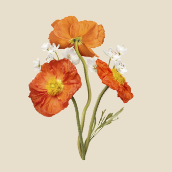 Beautiful botanical sticker, nature collage | Free PSD - rawpixel Beautiful botanical sticker, nature collage | Free PSD - rawpixel