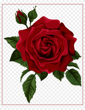 Beautiful Clipart Red Rose - Red Rose Vector Beautiful Clipart Red Rose - Red Rose Vector