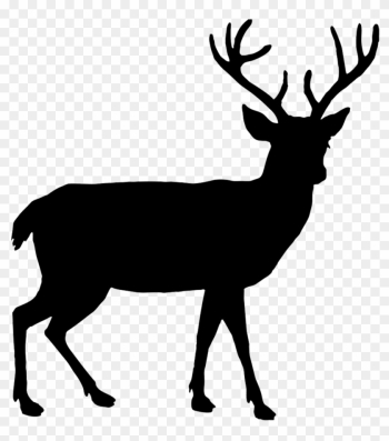 Beautiful Deer Silhouette - Beautiful Deer Silhouette Beautiful Deer Silhouette - Beautiful Deer Silhouette