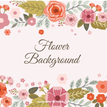 Beautiful flower background Beautiful flower background