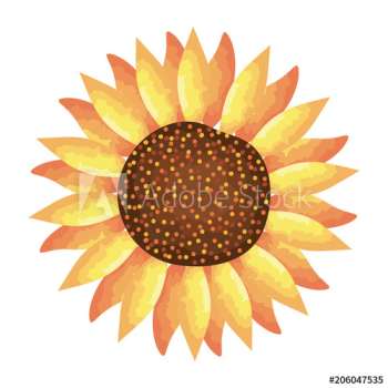 beautiful flower decorative design beautiful flower decorative design