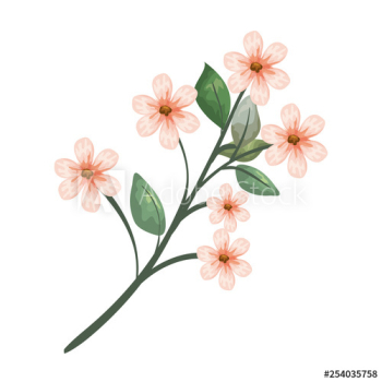 beautiful flowers decorative icon beautiful flowers decorative icon