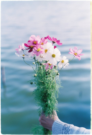 Beautiful Flowers in Hand Beautiful Flowers in Hand