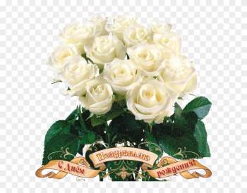 Beautiful Flowers Roses White Beautiful Flowers Roses White