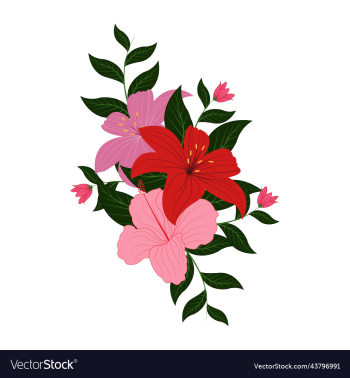 beautiful lily color flowers graphic design