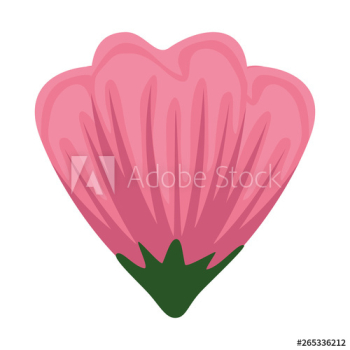 beautiful rose decorative icon beautiful rose decorative icon