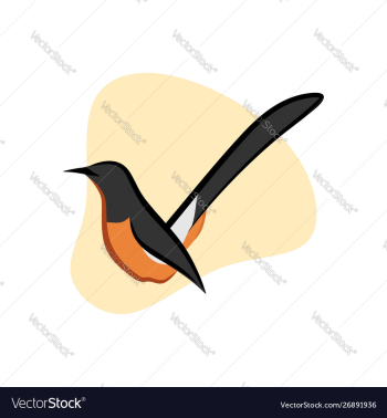 Beautiful stone magpie vector image