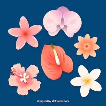 Beautiful tropical flowers set Beautiful tropical flowers set