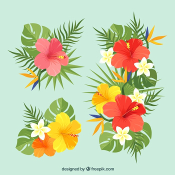 Beautiful tropical flowers set Beautiful tropical flowers set