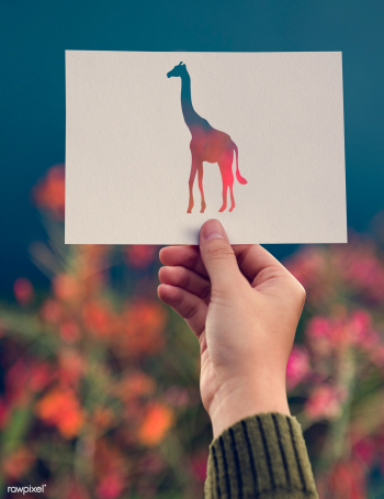 Beauty animal background | Free stock photo - 92264 Beauty animal background | Free stock photo - 92264