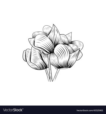 beauty flower line art style design