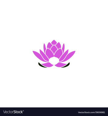 beauty flower lotus beauty flower lotus